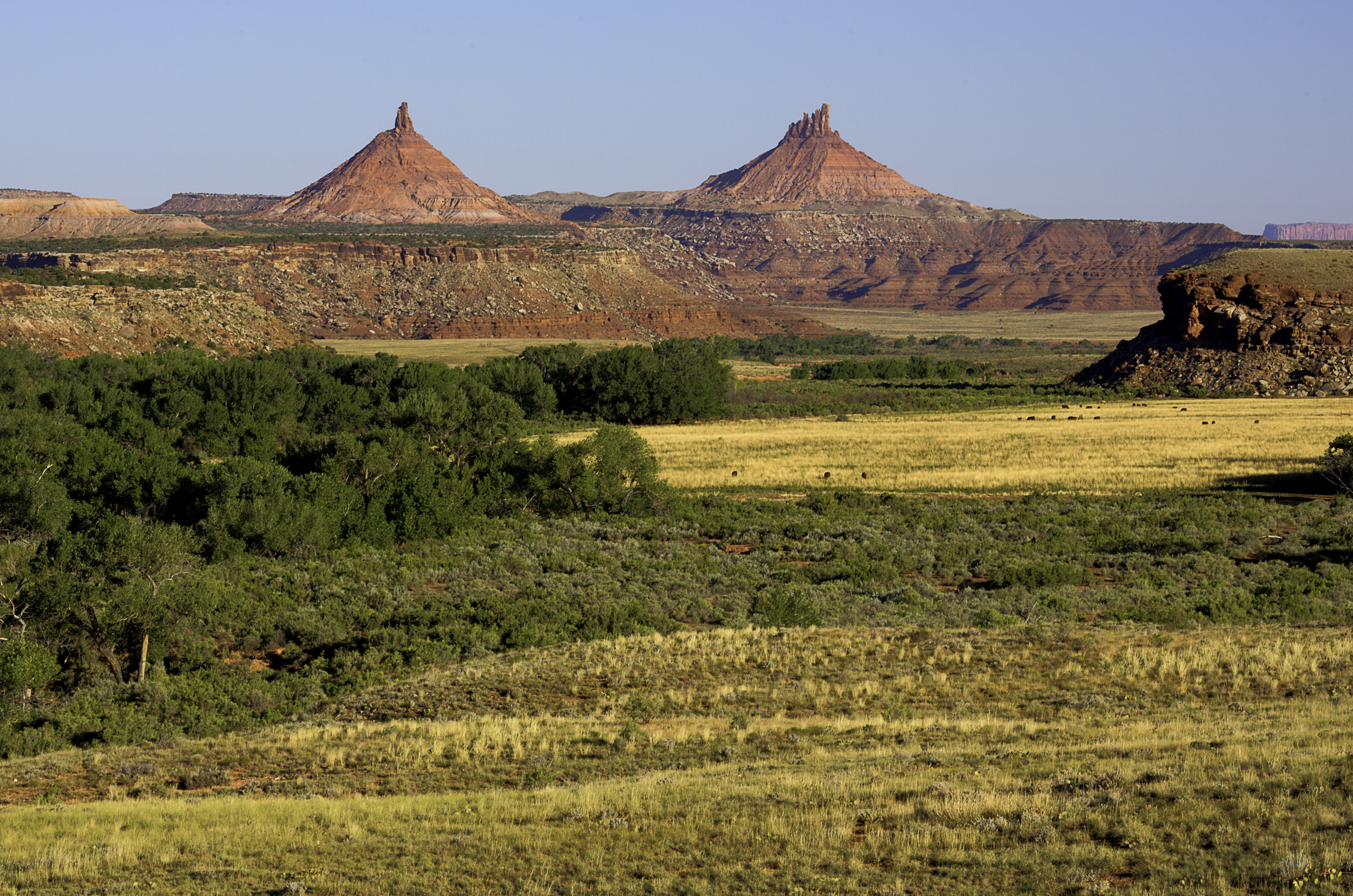 Indian Creek Bears Ears